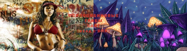 гидропоника Сосновый Бор