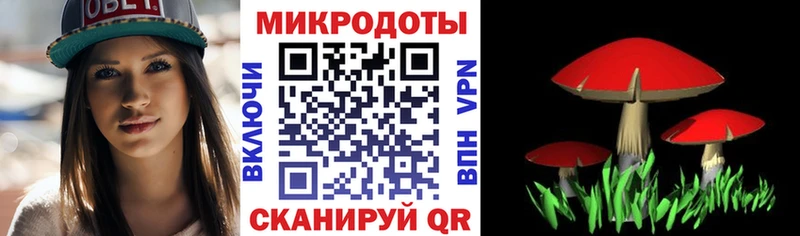 Галлюциногенные грибы мухоморы  Купить  Петрозаводск 