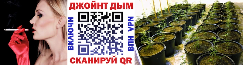 Купить где  Петрозаводск  Марихуана семена 